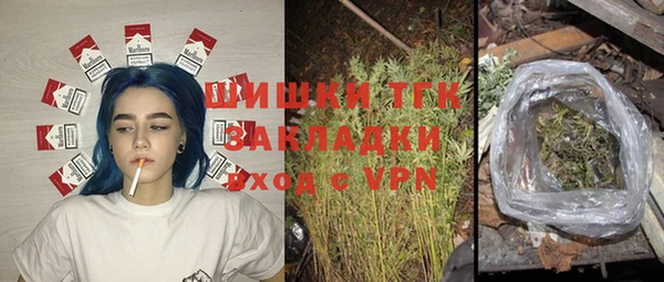 стаф Баксан