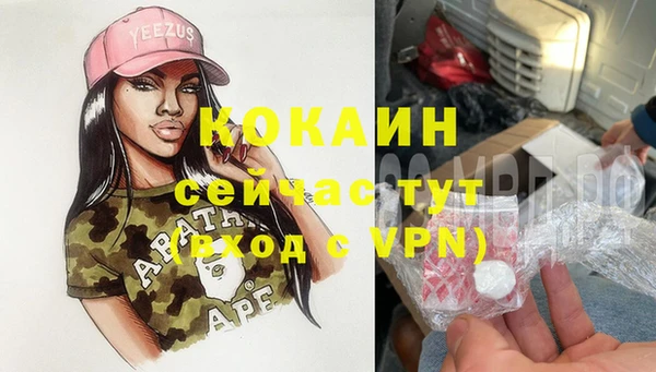 стаф Баксан