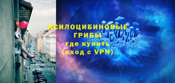 стаф Баксан